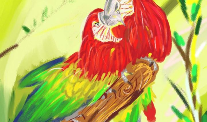 Digitální malba dvou červenoých papoušků ara, kteří se vzájemně dotýkají zobáky,.