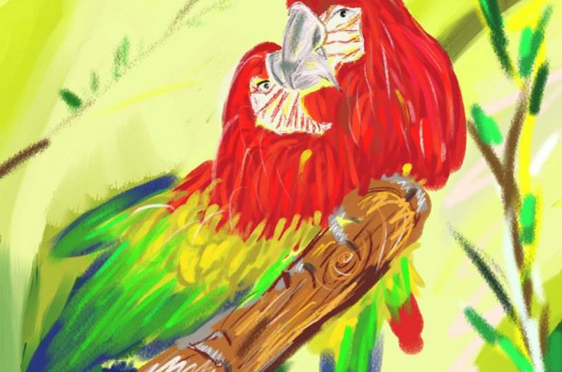 Digitální malba dvou červenoých papoušků ara, kteří se vzájemně dotýkají zobáky,.