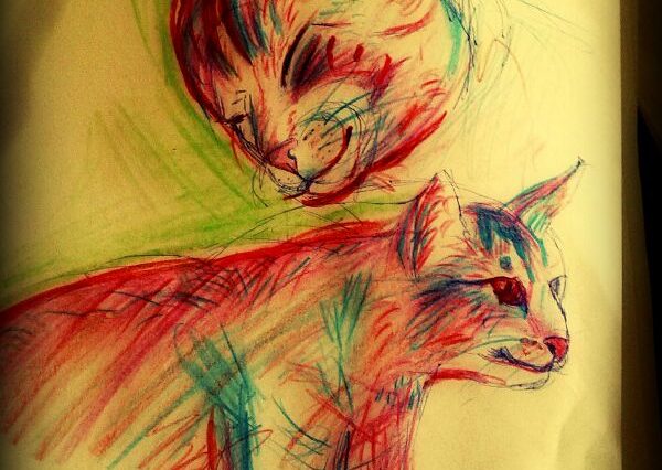 Náčrt dvou růžových koček - jednoho koťátka se zvědavým výrazem a druhá kočka je nejspíše máma, kouká na kotě shovívavě.