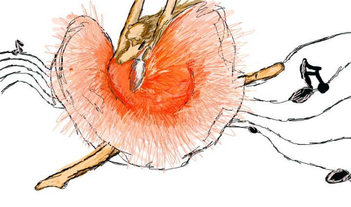 Digitální malba baletky v obrovských růžových šatech uprostřed skoku, za ní se line notová osnova.