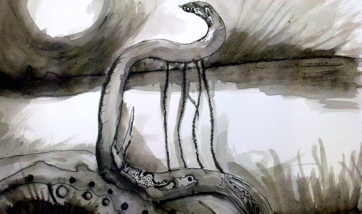Černobílá kresba harfy na břehu rybníka.