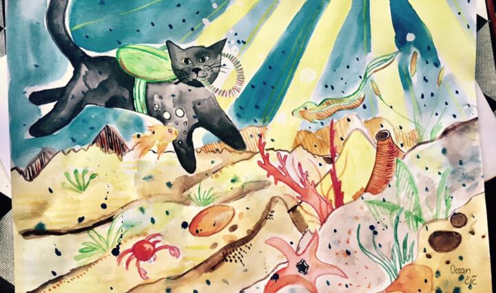 Na obrázku je černá kočka, která se potápí v oceánu. Na dně je spousta písku, kamení, ryb, korálů a hvězdice.