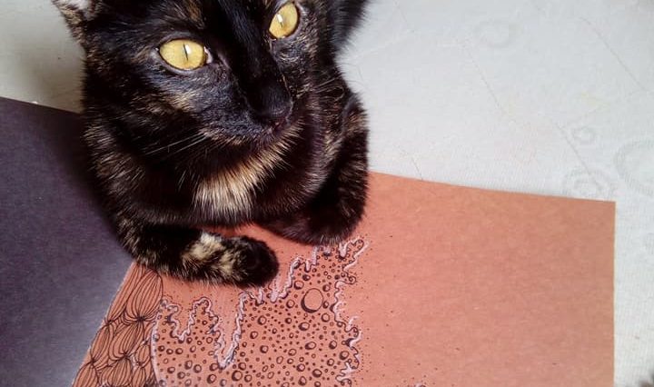 Želvovinová kočka leží na oranžovém papíru, na kterém je namalováno spoustu psychedelických vlnek černým fixem.