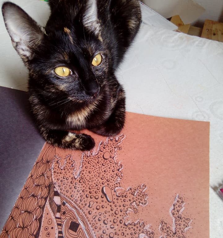 Želvovinová kočka leží na oranžovém papíru, na kterém je namalováno spoustu psychedelických vlnek černým fixem.