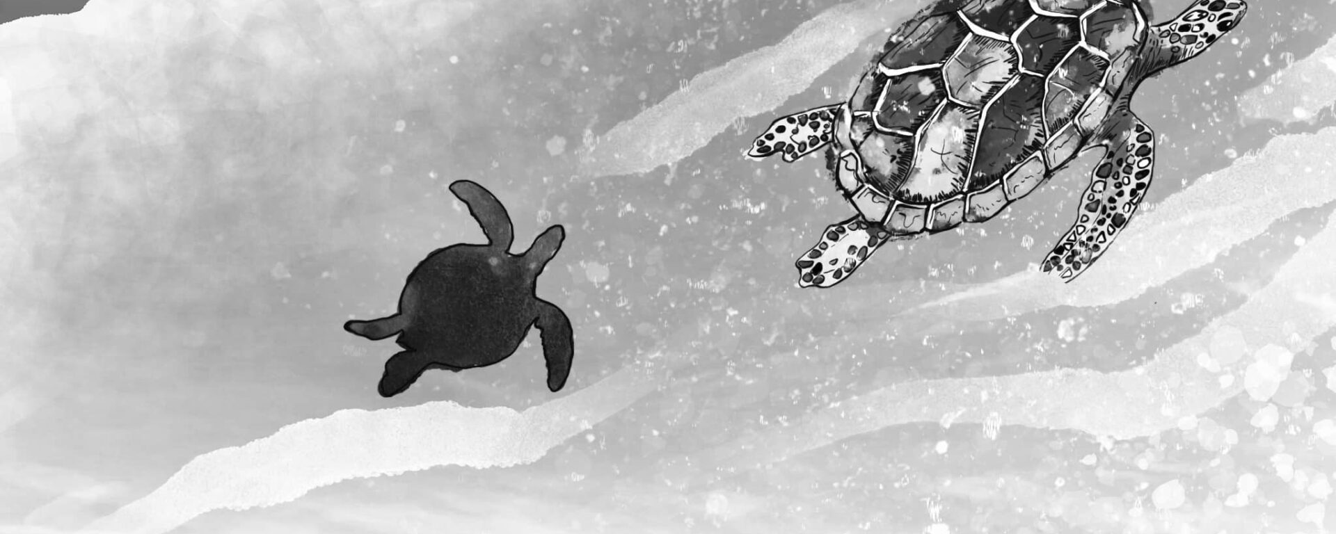 želva letící se stínem želvy nad mořem v Turecku.